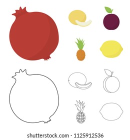Melon, plum, pineapple, lemon.Fruits set collection icons in cartoon,outline style vector symbol stock illustration web.