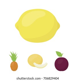 Melon, plum, pineapple, lemon.Fruits set collection icons in cartoon style vector symbol stock illustration web.