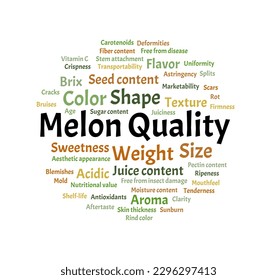 Melon Quality word cloud. Composition of words about melon quality assessment. Pomology, horticulture, and botanical analysis concepts. Isolated background.