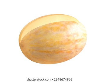 Melon realistic composition with isolated juicy fruit image on blank background vector illustration