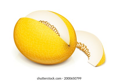 Melon. Ripe delicious juicy fruit, Isolated on white background. Eps10 vector illustration.