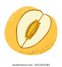 Melonenreife Früchte, einzelne Pflanze mit Samen. Zutat für Salate und Desserts, Smoothies und Sorbets. Geschmackvolle, saftige Kantaloupe oder Honigkuchen, ökologisch und nahrhaft. Vektorgrafik im Flachstil