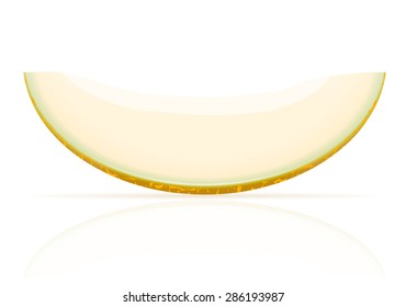 melon ripe juicy vector illustration isolated on white background
