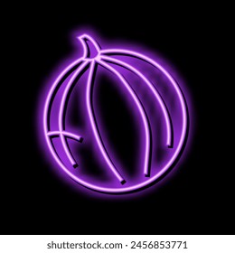 melón redondo cantaloupe Vector de luz de neón. melón redondo cantaloupe ilustración