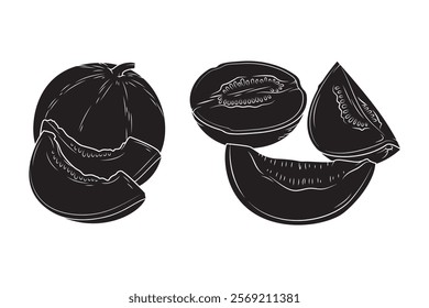 Melon silhouette set, melon fruit icon.