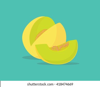 melon single isolated object with vector graphic illustration