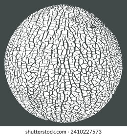Melon skin texture close up. Round silhouette. Cracked peel structure. Vector monochrome black and white background	
