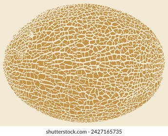 Melon skin texture close up. Round silhouette. Cracked peel structure. Vector yellow  background