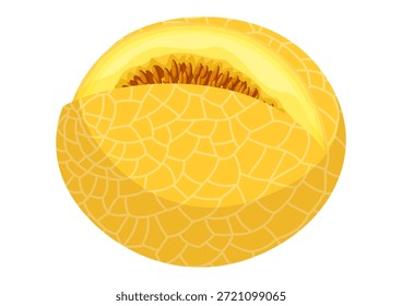 Melão com uma fatia cortada. Suculenta fruta de verão isolada sobre um fundo branco. Ilustração vetorial.