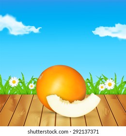 Melon and melon slice. Time for a picnic. Summer fruit. High quality vector. EPS10 vector