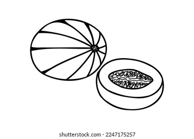 Melón cortado en forma lineal. Clipart dibujado a mano de melón y trozo aislado en fondo blanco, dibujo de doodle