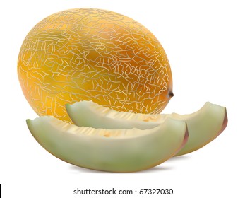 melon with slices isolated on white background vector