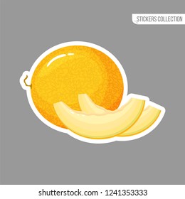 melon sticker isolated on white background. Bright vector illustration of colorful half and whole of juicy melon. Fresh cartoon