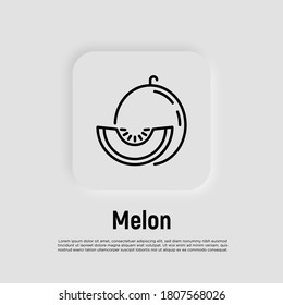 Melon thin line icon. Tropical fruit. Healthy vegan food. Vector illustration.