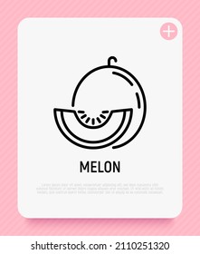 Melon thin line icon. Tropical fruit. Healthy vegan food. Vector illustration.