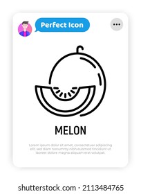 Melon thin line icon. Tropical fruit. Healthy vegan food. Vector illustration.