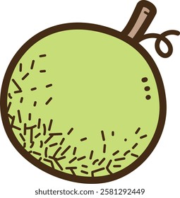 Melon vector doodle illustration and graphic