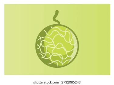 Melon vector illustration cartoon design good for logo