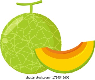 Ilustración vectorial de melón, icono de fruta. 