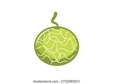 Melon vector illustration isolated on white background. good for logo