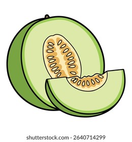 Melon vector illustration, simple design
