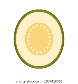 Melon vector. melon on white background. logo design. symbol.