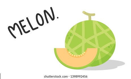 melon vector. melon on white background. wallpaper. symbol. logo design. melon poster.