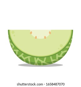 Melon vector. Melon on white background.