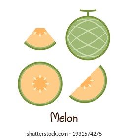 Melon vector. melon on white background. wallpaper. symbol. logo design. melon poster.