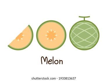 Melon vector. melon on white background. wallpaper. symbol. logo design. melon poster.