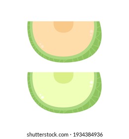 Melon vector. melon on white background. wallpaper. symbol. logo design. melon poster.