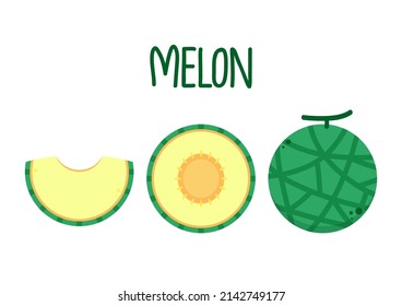 Melon vector. melon on white background. wallpaper. logo design. 