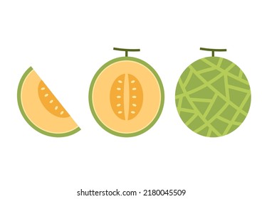 Melon vector. melon on white background. wallpaper. logo design. 