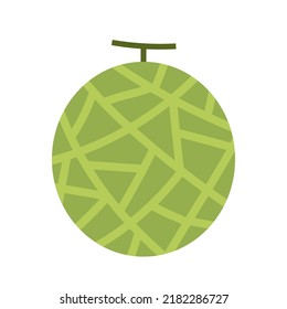 Melon vector. melon on white background. wallpaper. logo design. 