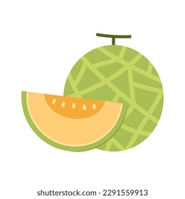 Melon vector. melon on white background. wallpaper. logo design. 