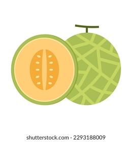 Melon vector. melon on white background. wallpaper. logo design. 