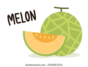 Vector de melón. melón sobre fondo blanco. fondo de pantalla. diseño de logotipo. 