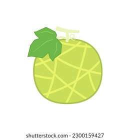 Vector de melón. melón sobre fondo blanco. fondo de pantalla. diseño de logotipo. 