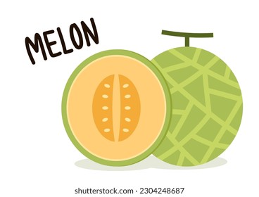 Melon vector. melon on white background. wallpaper. logo design. 