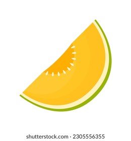 Melon vector. melon on white background. wallpaper. logo design. 