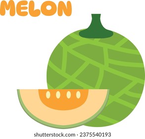 Melon vector. melon on white background. wallpaper. logo design. 