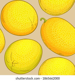 melon vector pattern on color background