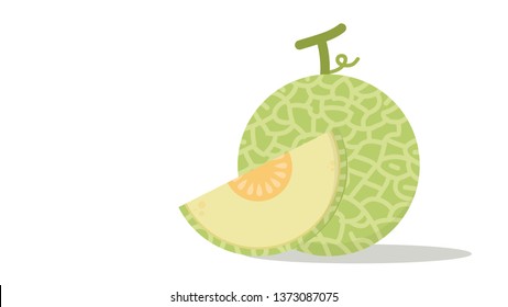 Melon vector. wallpaper. free space for text. white background. copy space.