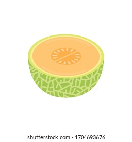 Melon vector. wallpaper. Melon logo. sign. symbol.