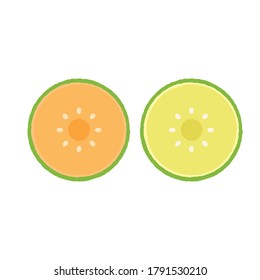 Melon vector. wallpaper. Melon logo. sign. symbol.