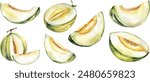 Melon watercolor illustration. Melon slice, melon cut, cantaloupe whole isolated on white background