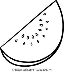 melon watermelon hand drawn vector illustration