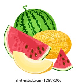 Melon and watermelon vector illustration in flat style. Simple image isolated on white. Template for tag, sticker, icon, label, banner.