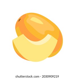 Melon and melon wedge. Vector illustration isolated on white background.