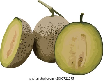 Melon with a white background